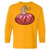 Youth Heavy Cotton™ Long Sleeve T-Shirt Thumbnail