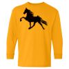Youth Heavy Cotton™ Long Sleeve T-Shirt Thumbnail