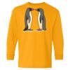 Youth Heavy Cotton™ Long Sleeve T-Shirt Thumbnail