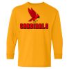 Youth Heavy Cotton™ Long Sleeve T-Shirt Thumbnail