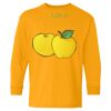 Youth Heavy Cotton™ Long Sleeve T-Shirt Thumbnail