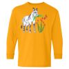 Youth Heavy Cotton™ Long Sleeve T-Shirt Thumbnail