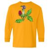 Youth Heavy Cotton™ Long Sleeve T-Shirt Thumbnail
