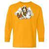 Youth Heavy Cotton™ Long Sleeve T-Shirt Thumbnail