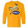 Youth Heavy Cotton™ Long Sleeve T-Shirt Thumbnail