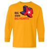 Youth Heavy Cotton™ Long Sleeve T-Shirt Thumbnail