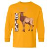 Youth Heavy Cotton™ Long Sleeve T-Shirt Thumbnail