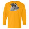 Youth Heavy Cotton™ Long Sleeve T-Shirt Thumbnail