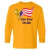 Youth Heavy Cotton™ Long Sleeve T-Shirt Thumbnail