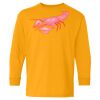 Youth Heavy Cotton™ Long Sleeve T-Shirt Thumbnail