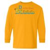 Youth Heavy Cotton™ Long Sleeve T-Shirt Thumbnail