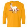 Youth Heavy Cotton™ Long Sleeve T-Shirt Thumbnail