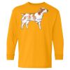 Youth Heavy Cotton™ Long Sleeve T-Shirt Thumbnail