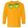 Youth Heavy Cotton™ Long Sleeve T-Shirt Thumbnail