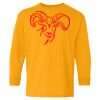 Youth Heavy Cotton™ Long Sleeve T-Shirt Thumbnail