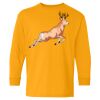 Youth Heavy Cotton™ Long Sleeve T-Shirt Thumbnail