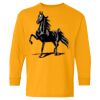 Youth Heavy Cotton™ Long Sleeve T-Shirt Thumbnail