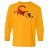 Youth Heavy Cotton™ Long Sleeve T-Shirt Thumbnail