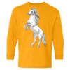 Youth Heavy Cotton™ Long Sleeve T-Shirt Thumbnail