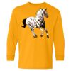 Youth Heavy Cotton™ Long Sleeve T-Shirt Thumbnail