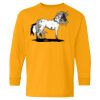 Youth Heavy Cotton™ Long Sleeve T-Shirt Thumbnail