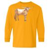 Youth Heavy Cotton™ Long Sleeve T-Shirt Thumbnail
