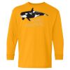 Youth Heavy Cotton™ Long Sleeve T-Shirt Thumbnail