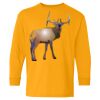 Youth Heavy Cotton™ Long Sleeve T-Shirt Thumbnail
