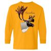 Youth Heavy Cotton™ Long Sleeve T-Shirt Thumbnail