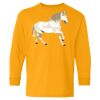 Youth Heavy Cotton™ Long Sleeve T-Shirt Thumbnail