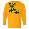 Youth Heavy Cotton™ Long Sleeve T-Shirt Thumbnail