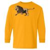 Youth Heavy Cotton™ Long Sleeve T-Shirt Thumbnail
