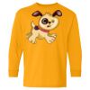 Youth Heavy Cotton™ Long Sleeve T-Shirt Thumbnail