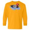 Youth Heavy Cotton™ Long Sleeve T-Shirt Thumbnail