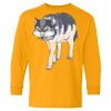 Youth Heavy Cotton™ Long Sleeve T-Shirt Thumbnail