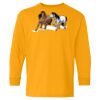 Youth Heavy Cotton™ Long Sleeve T-Shirt Thumbnail