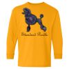 Youth Heavy Cotton™ Long Sleeve T-Shirt Thumbnail