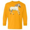 Youth Heavy Cotton™ Long Sleeve T-Shirt Thumbnail
