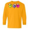 Youth Heavy Cotton™ Long Sleeve T-Shirt Thumbnail