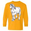 Youth Heavy Cotton™ Long Sleeve T-Shirt Thumbnail