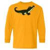 Youth Heavy Cotton™ Long Sleeve T-Shirt Thumbnail