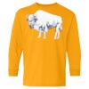 Youth Heavy Cotton™ Long Sleeve T-Shirt Thumbnail