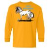 Youth Heavy Cotton™ Long Sleeve T-Shirt Thumbnail