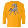 Youth Heavy Cotton™ Long Sleeve T-Shirt Thumbnail