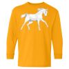 Youth Heavy Cotton™ Long Sleeve T-Shirt Thumbnail
