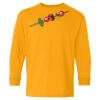 Youth Heavy Cotton™ Long Sleeve T-Shirt Thumbnail