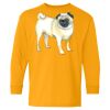 Youth Heavy Cotton™ Long Sleeve T-Shirt Thumbnail