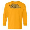 Youth Heavy Cotton™ Long Sleeve T-Shirt Thumbnail