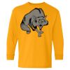 Youth Heavy Cotton™ Long Sleeve T-Shirt Thumbnail
