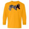 Youth Heavy Cotton™ Long Sleeve T-Shirt Thumbnail